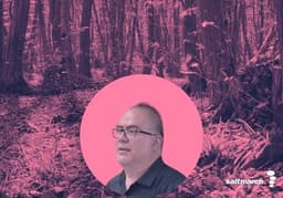 Java Enable Preview: Foreign Function and Memory Interface