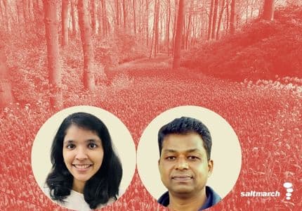 Monoliths to Modular: Navigating the Transition